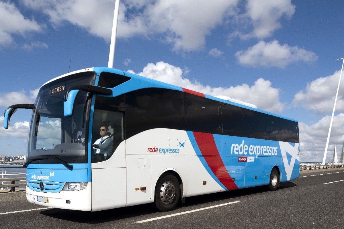 Buses and Coaches